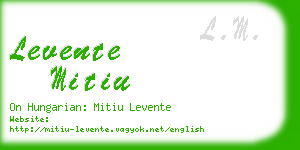 levente mitiu business card